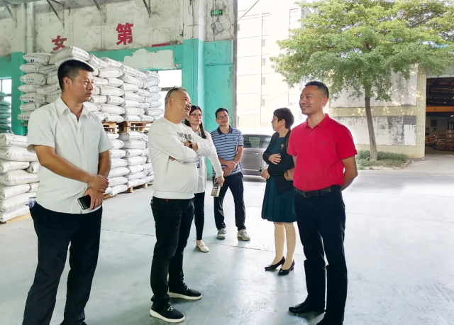 广东葫芦娃官网huluwa在线观看